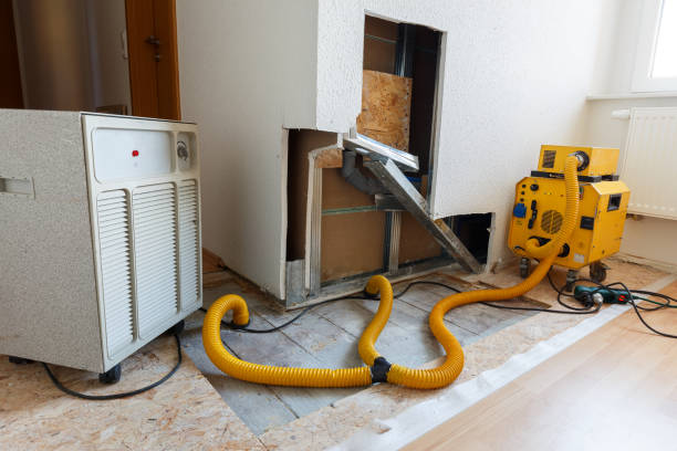 Best Commercial Mold Inspection  in Clifton Knolls Mill Creek, NY